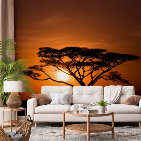 Picture of Acacia Tree Against Sunrise Tanzania