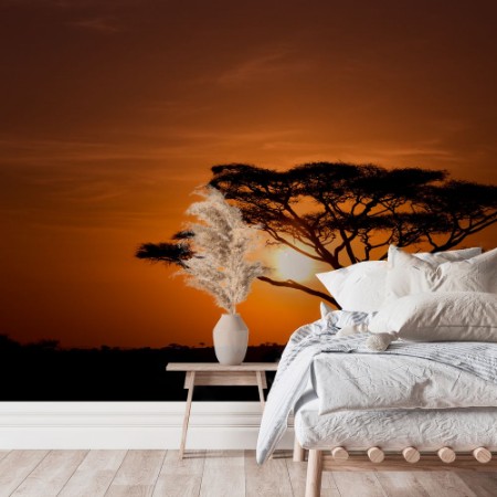 Obrazek Acacia Tree Against Sunrise Tanzania