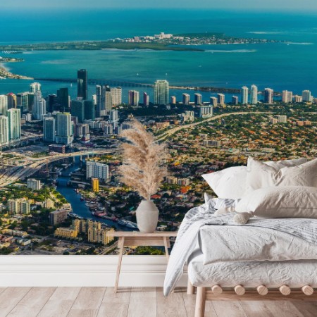 Picture of Town and Beach of Miami