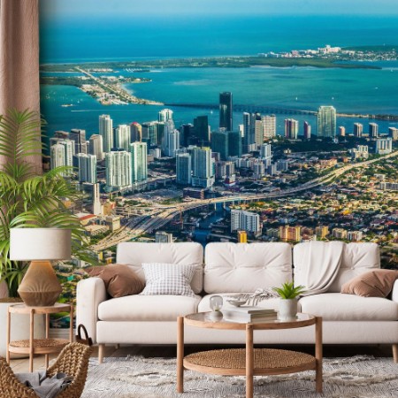 Picture of Town and Beach of Miami