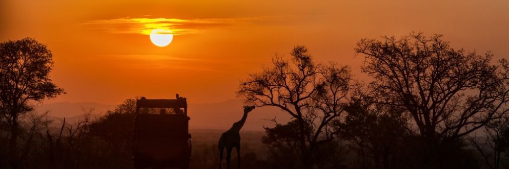 African Safari Sunset photowallpaper Scandiwall