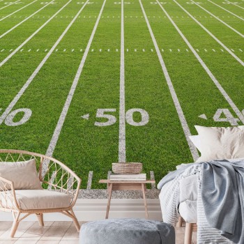 Picture of American Football Field