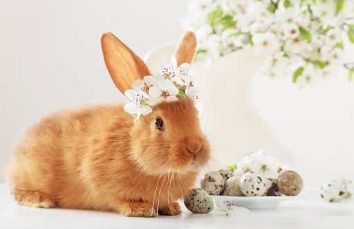 Afbeeldingen van Little rabbit with spring flowers and Easter eggs