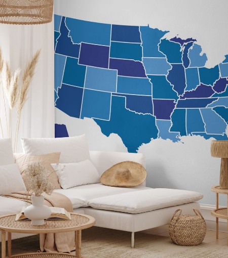 Picture of USA map vector illustration art on white background
