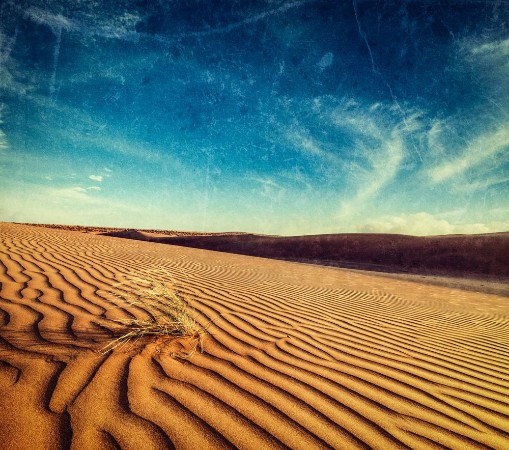 Afbeeldingen van Dunes of Thar Desert Rajasthan India