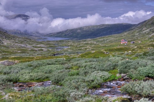 Bild på Hardangervidda