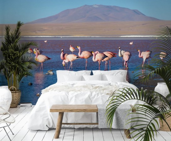 Picture of Pink flamingos at Laguna Colorada on the Bolivian Andes