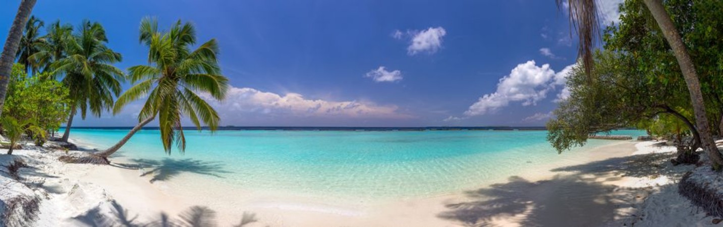 Beach panorama at Maldives with blue sky palm trees and turquoi photowallpaper Scandiwall