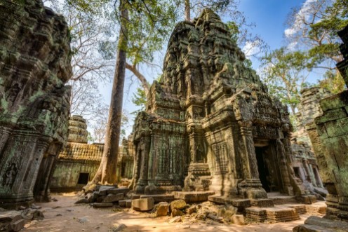 Bild på Angkor Wat Cambodia Ta Prohm Khmer ancient Buddhist temple