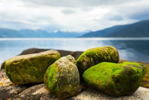 Afbeeldingen van Stones on the beach Norway