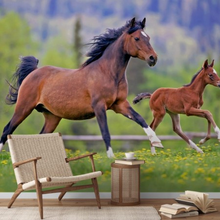 Afbeeldingen van Bay Mare Horse and Foal galloping together in spring meadow