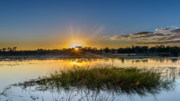 Picture of Okavango sunset