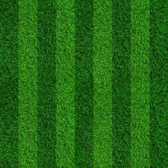 Afbeeldingen van Green grass soccer field background
