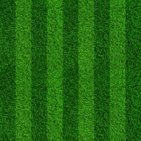 Bild på Green grass soccer field background