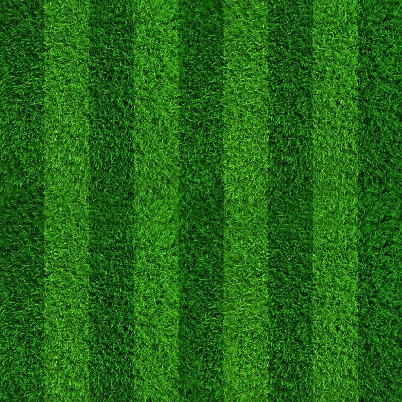 Bild på Green grass soccer field background