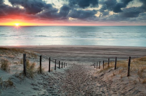 Afbeeldingen van Sand path to North sea beach at sunset