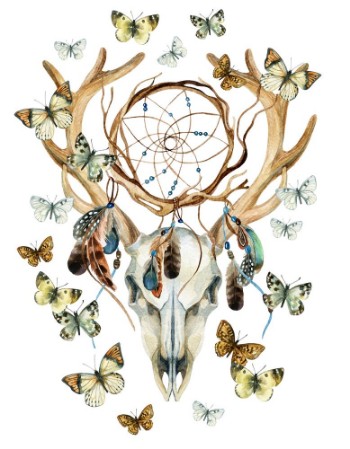 Picture of Deer skull Animal skull with dreamcather and butterfly