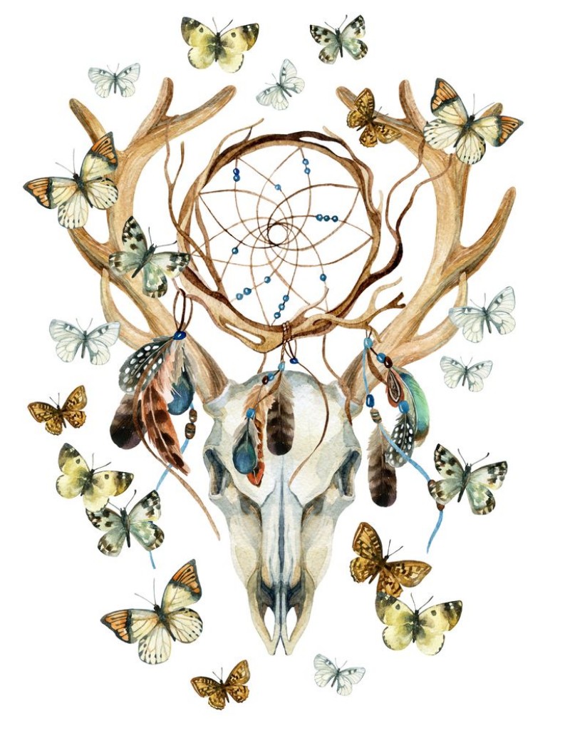 Bild på Deer skull Animal skull with dreamcather and butterfly
