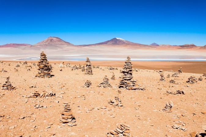 Bild på Lake Bolivia Altiplano
