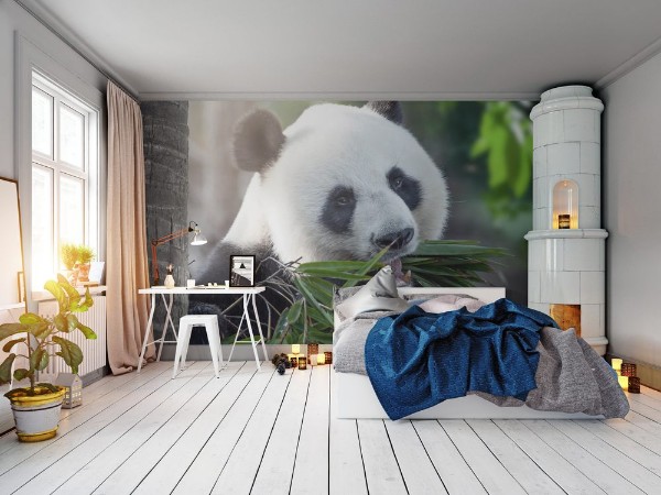 Afbeeldingen van Panda