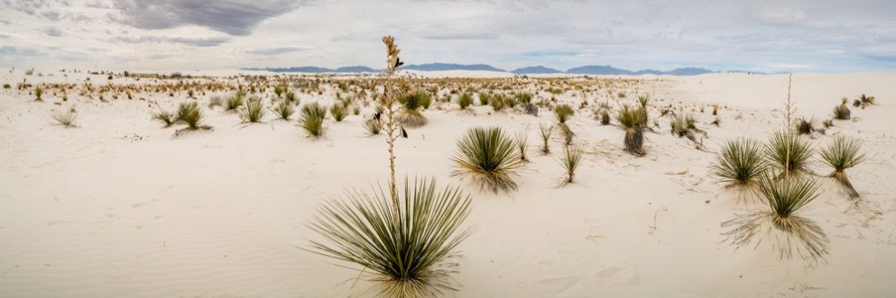 Afbeeldingen van New Mexico Landscapes