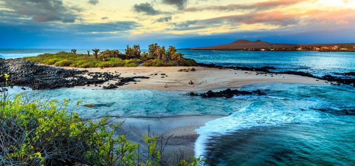 Galapagos islands photowallpaper Scandiwall