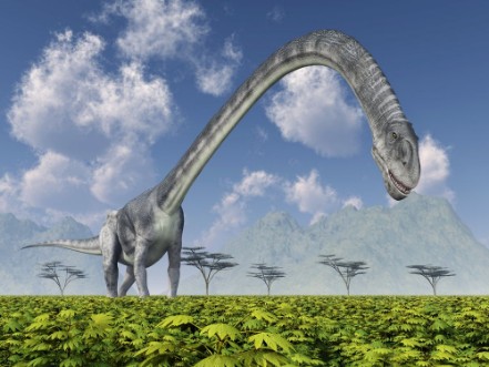 Afbeeldingen van Dinosaur Omeisaurus