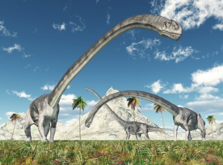 Afbeeldingen van Dinosaurier Omeisaurus