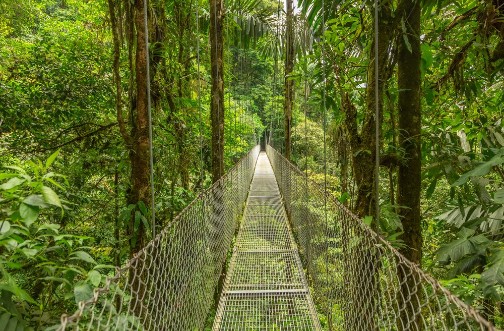 Afbeeldingen van Hanging bridge in Costa Rica
