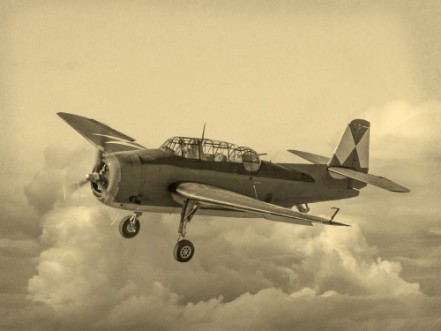 Afbeeldingen van Vintage Style image of World of American War 2 Torpedo bomber First saw combat in 1942