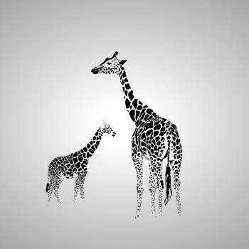 Picture of Giraffe with her baby