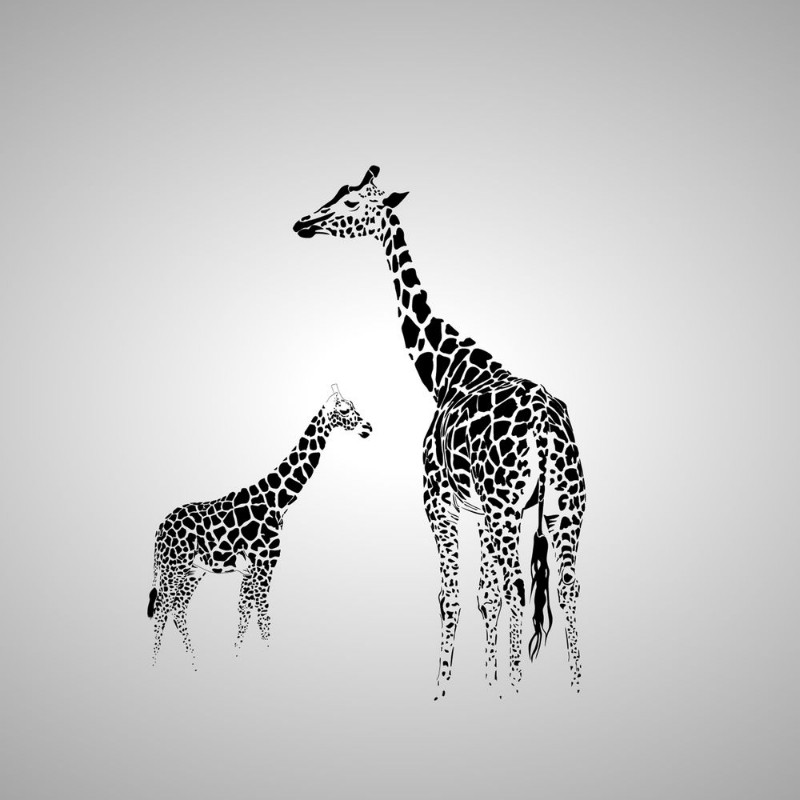 Afbeeldingen van Giraffe with her baby
