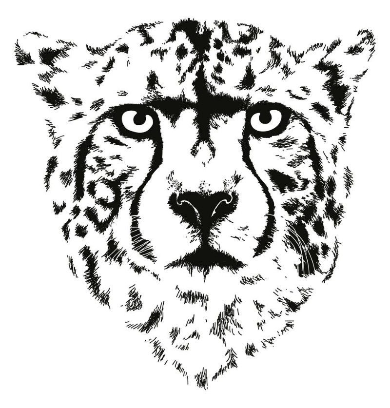 Bild på Cheetah head