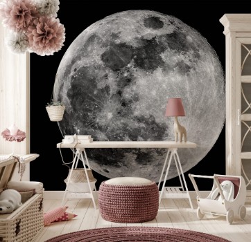 Picture of Full Moon phase Taken by telescopeFase Luna piena Scattata con telescopio