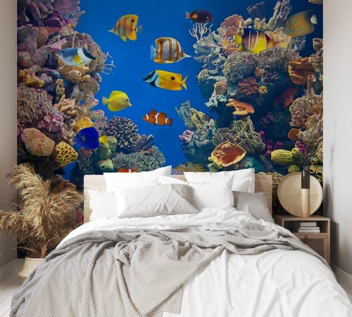 Picture of Colorful and vibrant aquarium life