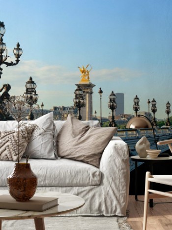 Picture of Paris Alexandre III panorama