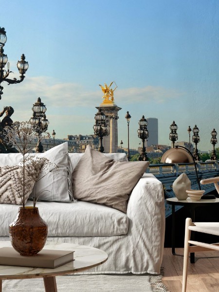 Bild på Paris Alexandre III panorama