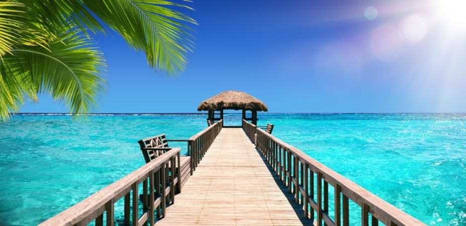 Image de Input Dock For The Tropical Paradise