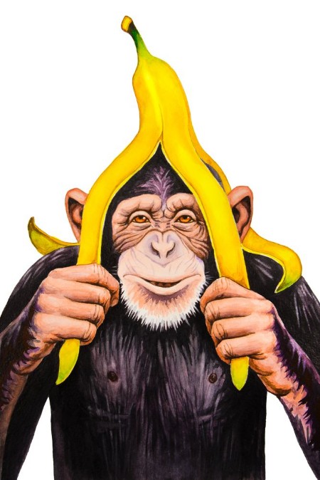 Picture of Chimpanzee with a banana peel on his head Watercolor illustration