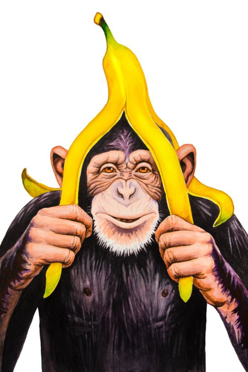 Afbeeldingen van Chimpanzee with a banana peel on his head Watercolor illustration