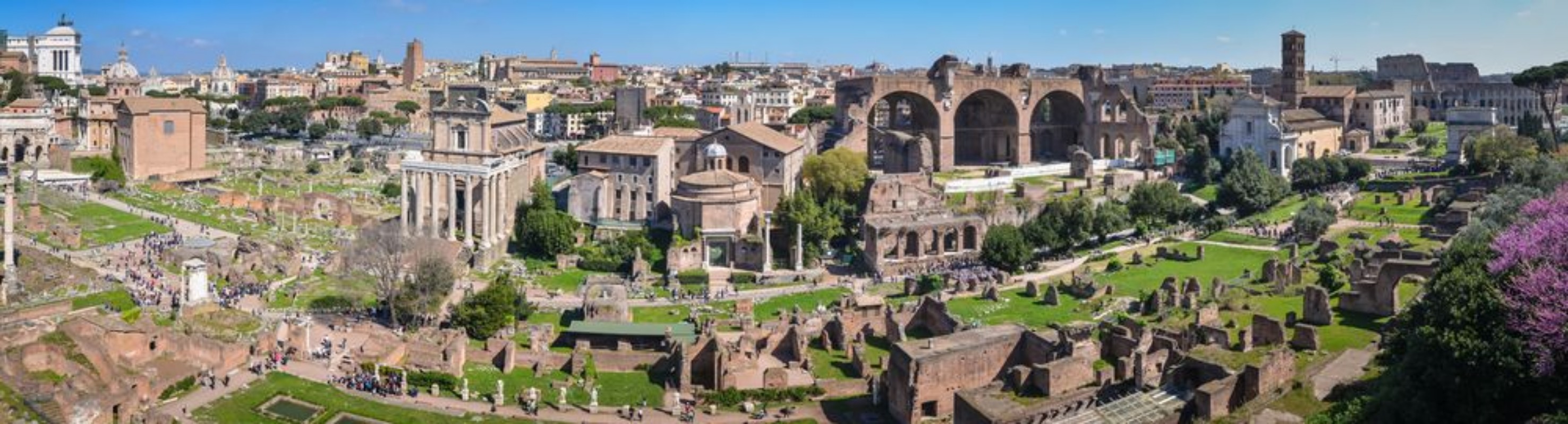 Bild på Forum Romanum - panorama