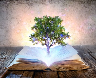 Bild på Tree Growing From The Old Book - Shining And Magic Lights