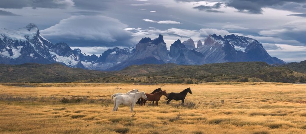 Afbeeldingen van Torres del Paine National Park Patagonia Chile