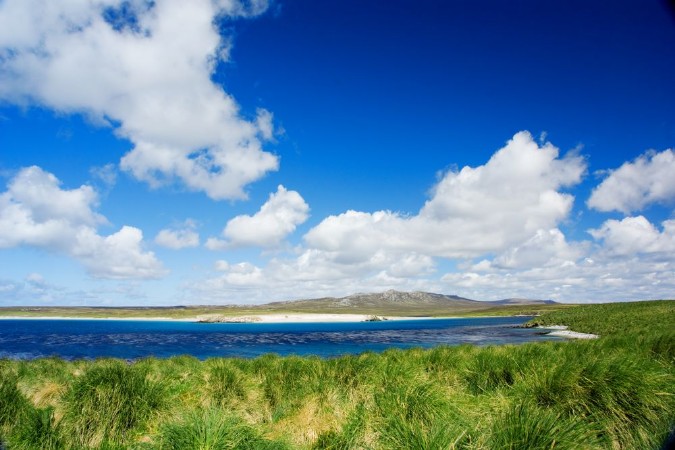 Bild på Falklands Landscape