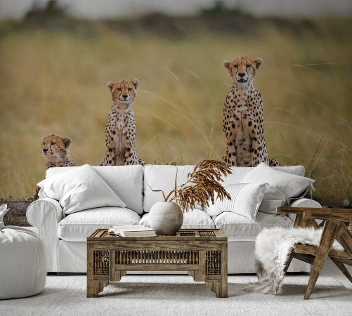 Bild på Mother cheetah and her cubs in the savannah Kenya Tanzania Africa National Park Serengeti Maasai Mara An excellent illustration