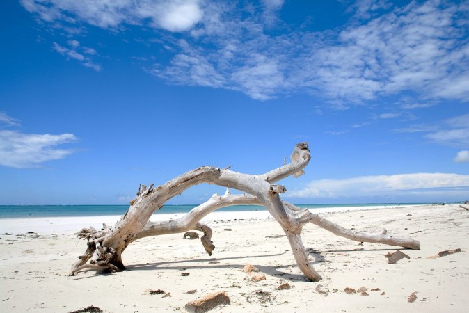 Bild på Diani Beach Mombasa