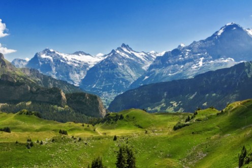 Afbeeldingen van Beautiful idyllic Alps landscape with mountains in summer Switzerland