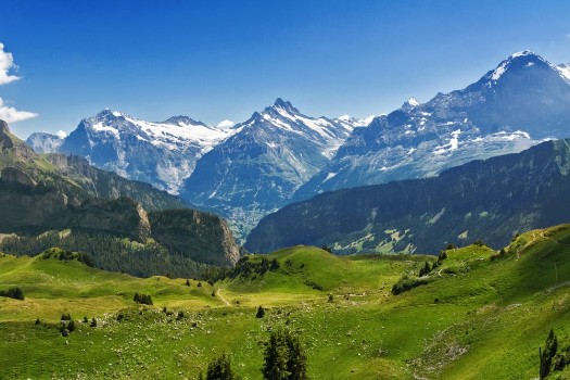 Picture of Beautiful idyllic Alps landscape with mountains in summer Switzerland