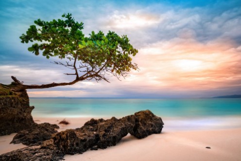 Bild på Exotic seascape with sea grape trees leaning above a rocky Caribbean beach at sunset in Cayo Levantado Dominican Republic