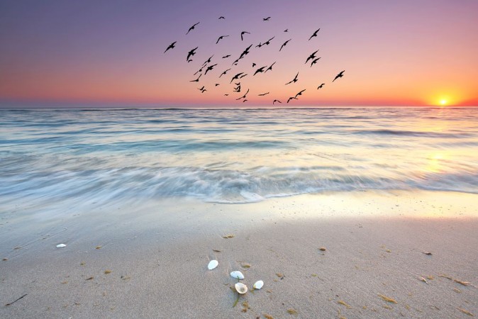 Afbeeldingen van Der Tag beginnt am Meer Sonnenaufgang am Strand